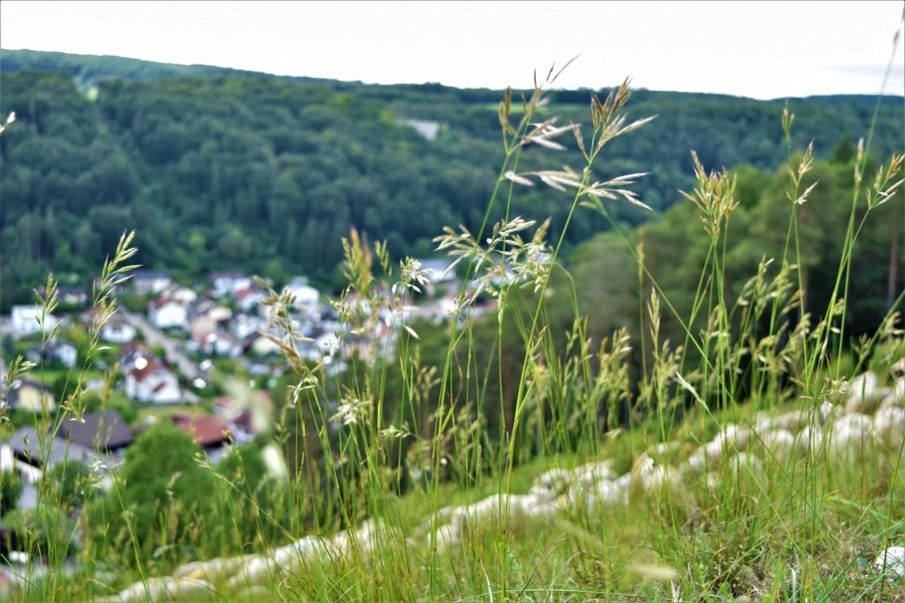 Hotel Zum Braeu Kinding Kültér fotó